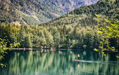 Scenic view of lake in forest