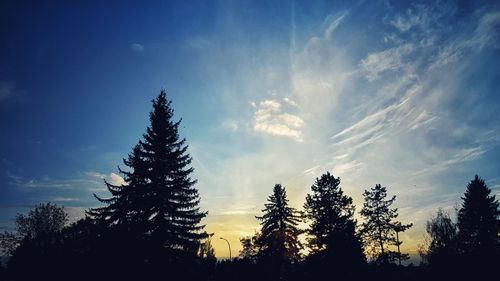 Low angle view of silhouette trees against sky during sunset
