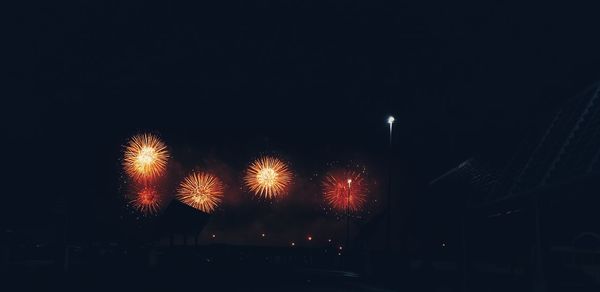 Low angle view of firework display at night