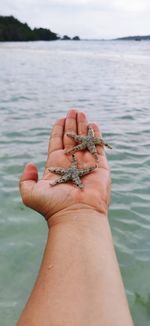 Midsection of a man holding a starfish