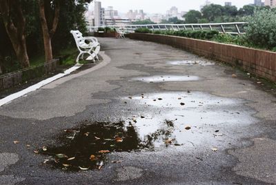 Wet road by trees in city