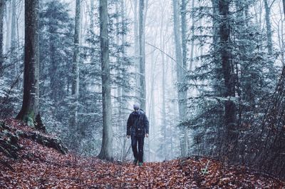 Rear view of man walking in forest