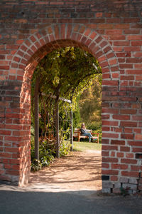 Trees against brick wall of building