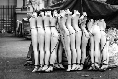 Close-up of displayed for sale in store