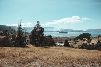 Scenic view of landscape against sky