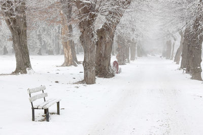 Snow covered trees on field during winter