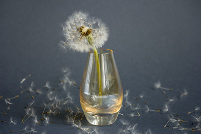 Close-up of illuminated light bulb