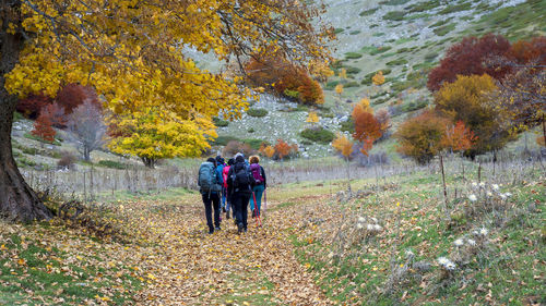 Rear view of people walking on street during autumn