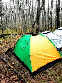 Tent on field against bare trees in forest