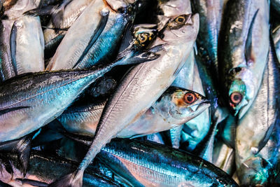 Full frame shot of fish for sale at market