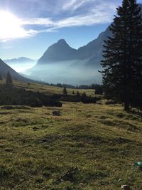 Green fields with mountains in background