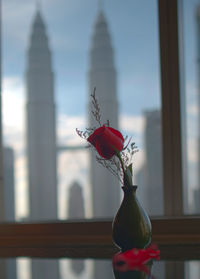 Close-up of red rose in vase