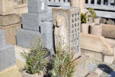 Close-up of cemetery