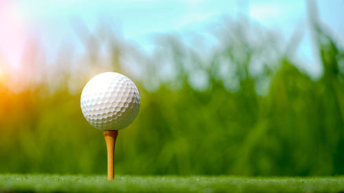 Golf ball on grass