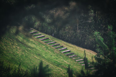 High angle view of trees on landscape