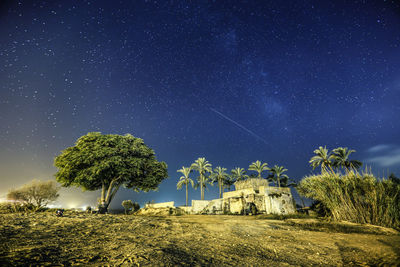 A lone tree stands in the middle of the place and the meteors