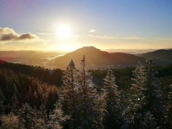Scenic view of tree against sky during sunset