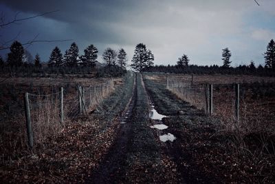 Road passing through field