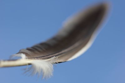 Close-up of blue background