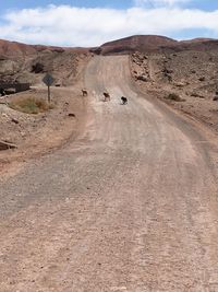 Tourists on dirt road passing through landscape