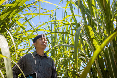 Man standing in field