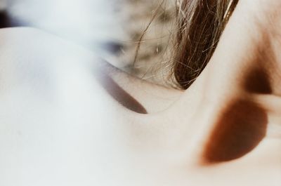 Close-up of woman with hair over white background