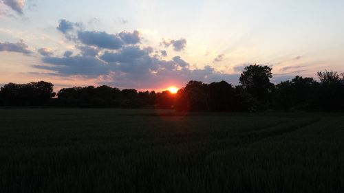 Scenic view of grassy field against sky at sunset