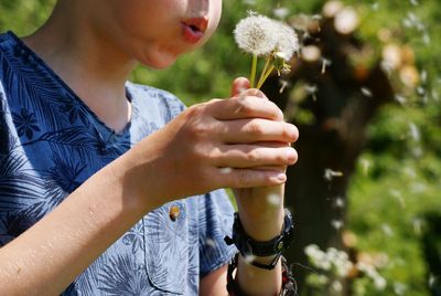 Close-up of cropped woman holding flower