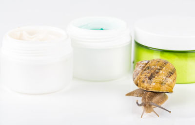 High angle view of food on white background