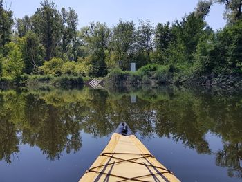 Reflection of trees in lake against sky