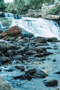 Scenic view of waterfall