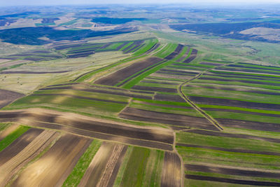 High angle view of agricultural field