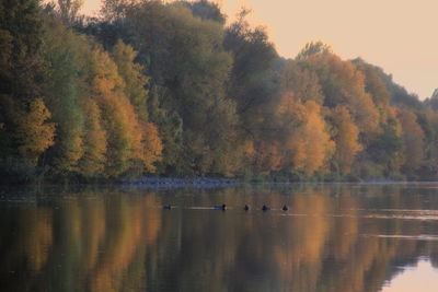 Scenic view of lake by trees during autumn