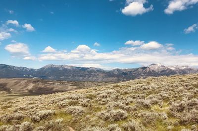 Scenic view of landscape against sky