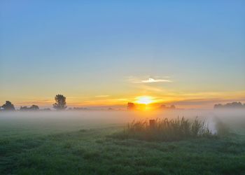 Scenic view of field against sky during sunset