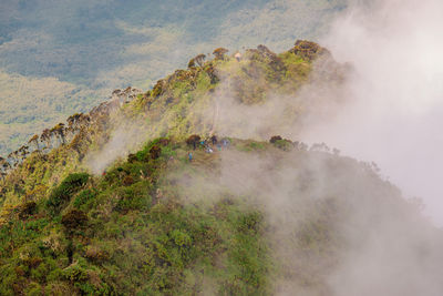 Hikers on wooden ladders at mount sabyinyo in mgahinga gorilla national park, virungas, uganda