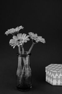 still life photography