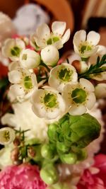 Close-up of white flowers