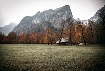 Scenic view of landscape against sky during autumn