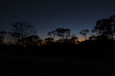 Silhouette trees on field against clear sky at night