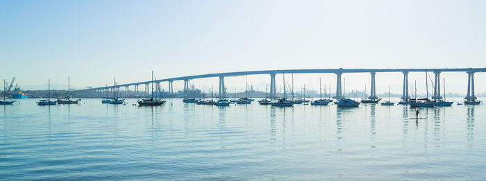 Sailboats in marina