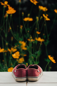 High angle view of red shoes on tiled floor against orange flowers