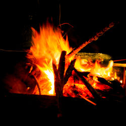 Close-up of bonfire at night