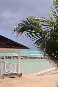 Palm trees on beach against sky