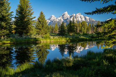 Scenic view of lake by trees against blue sky