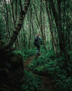 Low angle view of man standing in forest
