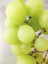 Full frame shot of grapes