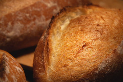 Sourdough bread close-up. freshly baked round bread with golden crust on bakery shelves. the context