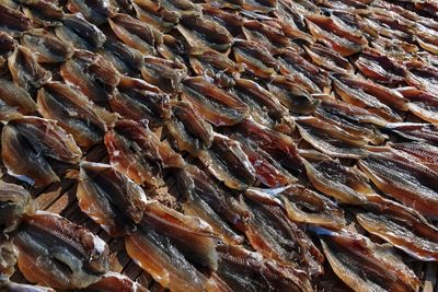 Full frame shot of fish for sale at market stall