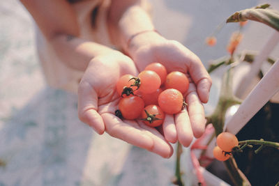 Cropped image of hands holding cherry tomatoes